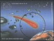 Österreich, 2006, ANK Nr. 2609 = ANK Block 35, Michel Nr. 2575 = MICHEL Block 32, Blockausgabe "Post aus einer anderen Welt", stark verzähnt, postfrisch, BEFUND Soecknick "echt und einwandfrei", DB DOKU